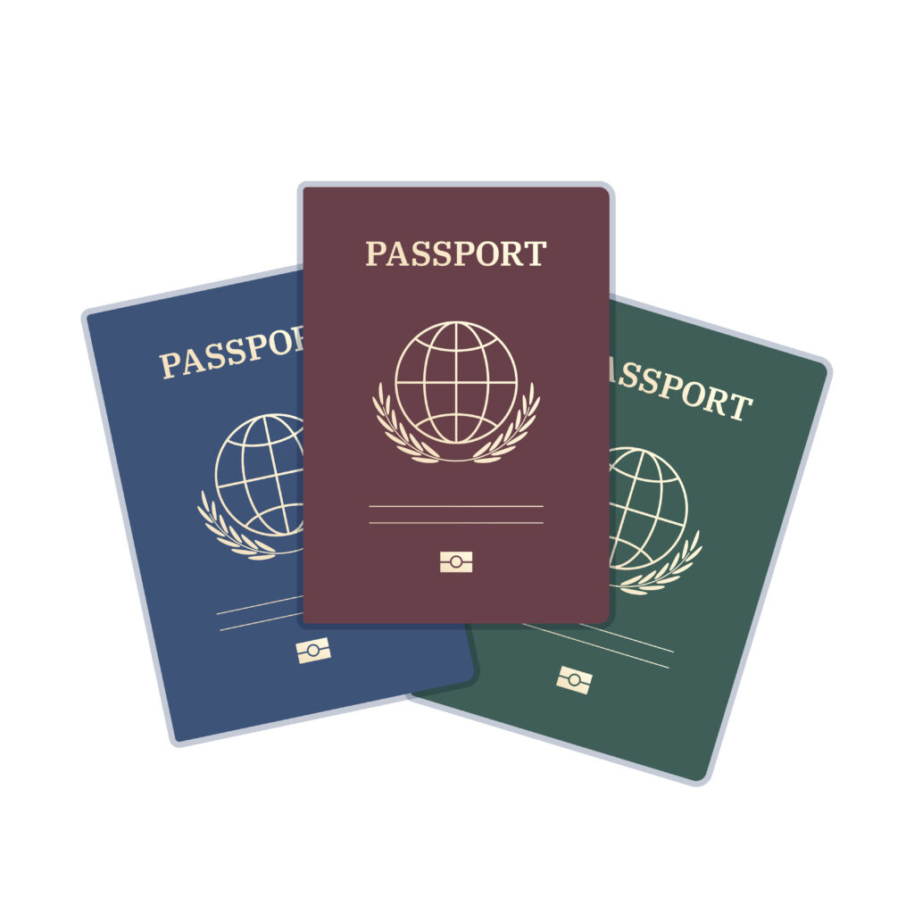 passport type : There are many types, whether it is ordinary, official, diplomatic or temporary.
